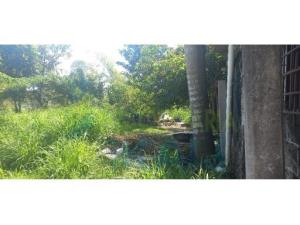 Terreno en venta en Palma Sola, Poza Rica de Hidalgo — foto 3 de 12