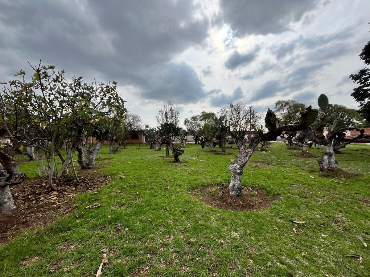 Terreno en venta en Concepción Jolalpan Centro, Tepetlaoxtoc — foto 1 de 20