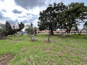Terreno en venta en Concepción Jolalpan Centro, Tepetlaoxtoc — foto 3 de 20