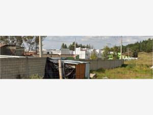 Casa en venta en San Luis Mextepec, Zinacantepec — foto 2 de 4