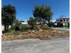 Terreno en venta en San Genaro, Cadereyta Jiménez — foto 3 de 4