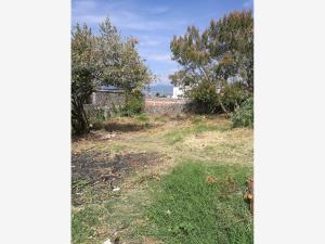 Terreno en venta en Tres de Mayo, Emiliano Zapata — foto 2 de 5