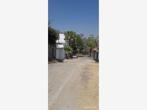Terreno en venta en Tres de Mayo, Emiliano Zapata — foto 3 de 5
