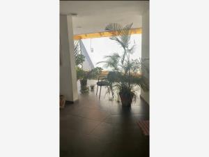 Casa en venta en Versalles, Tepic — foto 3 de 13