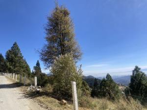 Terreno en venta en Piedra Grande, Huixquilucan — foto 2 de 9