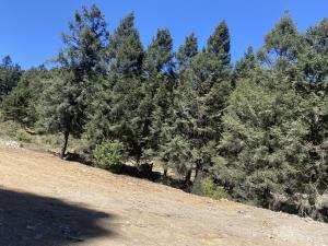 Terreno en venta en Piedra Grande, Huixquilucan — foto 3 de 6