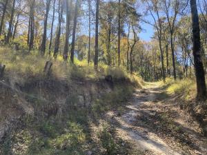 Terreno en venta en Piedra Grande, Huixquilucan — foto 2 de 6