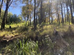 Terreno en venta en Piedra Grande, Huixquilucan — foto 3 de 6