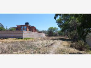 Terreno en venta en Santa María Nativitas, Aculco — foto 2 de 10