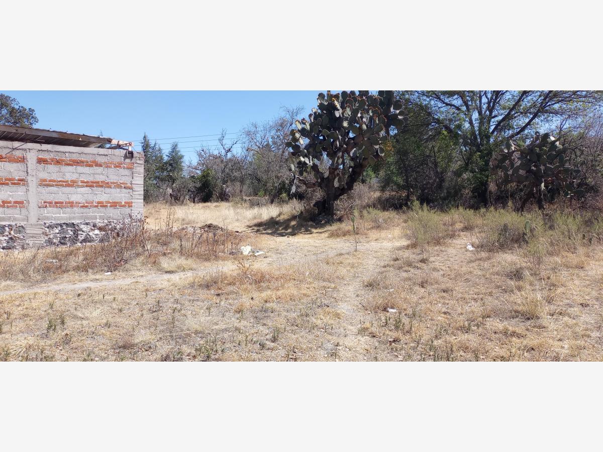 Terreno en venta en Santa María Nativitas, Aculco — foto 1 de 10