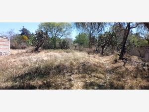 Terreno en venta en Santa María Nativitas, Aculco — foto 3 de 10