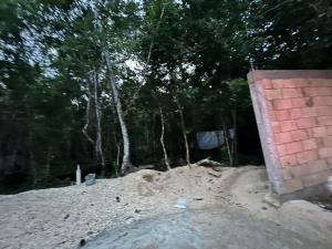 Terreno en venta en Puerto Morelos, Puerto Morelos — foto 2 de 16