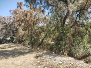 Terreno en venta en La Panorámica, Ecatepec de Morelos — foto 3 de 6