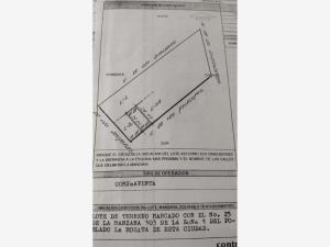Terreno en María Mercado de López Sánchez, Torreón, Coahuila de Zaragoza