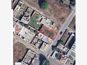 Terreno en renta en Sanctorum, Cuautlancingo — foto 2 de 3