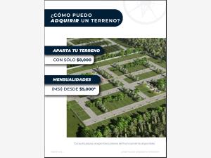 Terreno en venta en Paso del Toro, Medellín de Bravo — foto 3 de 12