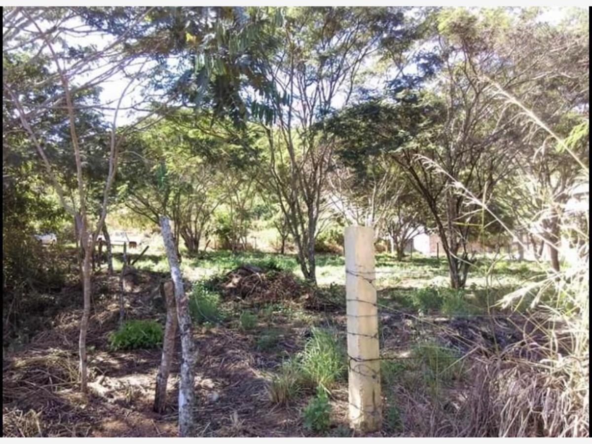 Terreno en venta en Viva Cardenas, San Fernando — foto 1 de 6