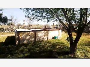 Terreno en venta en La Popular, Gómez Palacio — foto 3 de 7