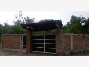 Finca-Rancho en venta en Plataforma, Manlio Fabio Altamirano — foto 2 de 28