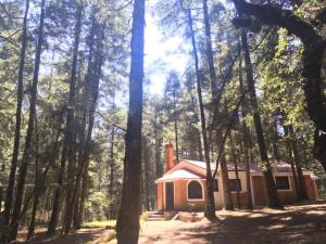 Terreno en venta en Mineral del Monte Centro, Mineral del Monte — foto 3 de 15