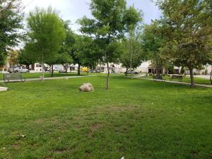 Terreno en venta en Hacienda del Rosario, Torreón — foto 3 de 7