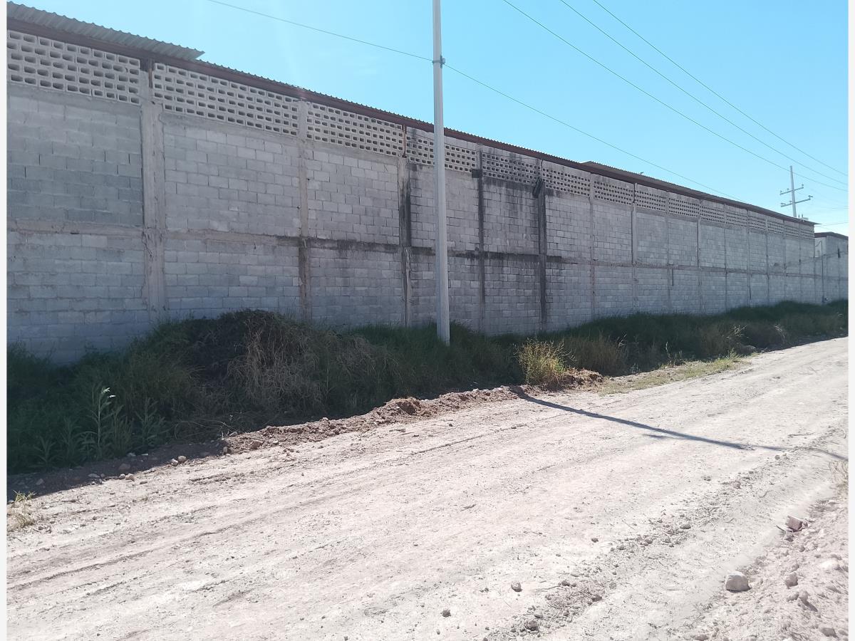 Terreno en Renta en San Agustín, Torreón, Coahuila de Zaragoza