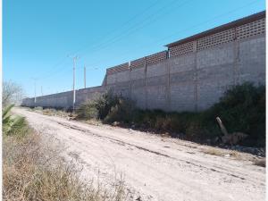Terreno en renta en San Agustín, Torreón — foto 3 de 5