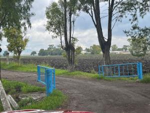 Terreno en venta en Estación el Ahorcado, Pedro Escobedo — foto 2 de 18