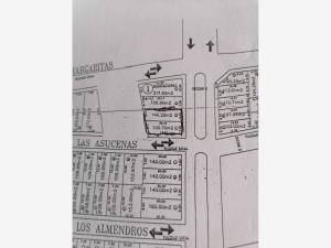 Terreno en venta en La Alameda, El Salto — foto 2 de 13