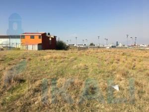 Terreno en venta en Emiliano Zapata (San Isidro), Chilchotla — foto 3 de 10
