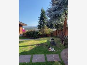Casa en venta en Parque del Pedregal, Tlalpan — foto 3 de 24