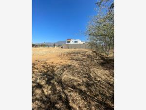 Terreno en venta en Tlalixtac de Cabrera, Tlalixtac de Cabrera, Oaxaca