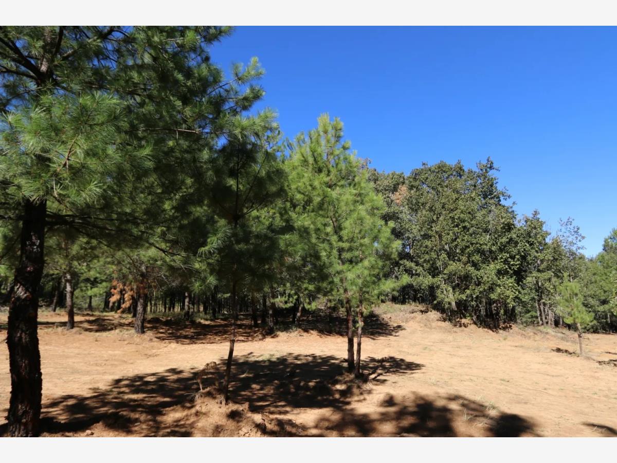 Terreno en venta en Cuanajo, Pátzcuaro — foto 1 de 7
