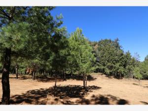 Terreno en venta en Cuanajo, Pátzcuaro, Michoacán de Ocampo