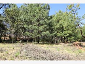 Terreno en venta en Cuanajo, Pátzcuaro — foto 2 de 7