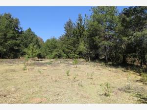 Terreno en venta en Cuanajo, Pátzcuaro — foto 3 de 7