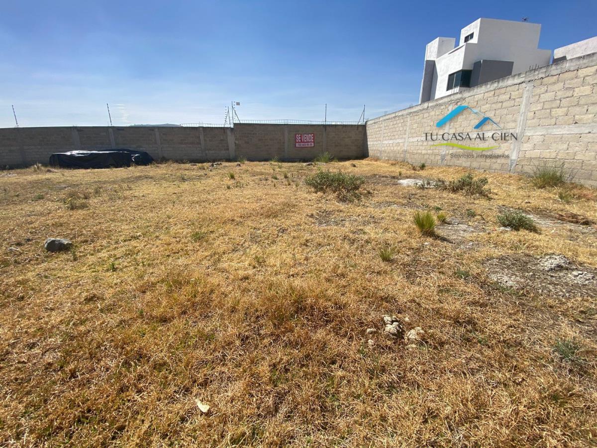Terreno en renta en Zamarrero, Zinacantepec — foto 1 de 12