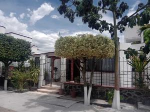 Casa en venta en Las Quintas, Yautepec — foto 3 de 8