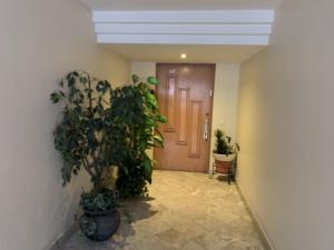 Departamento en venta en Lomas de Vista Hermosa, Cuajimalpa de Morelos — foto 2 de 38