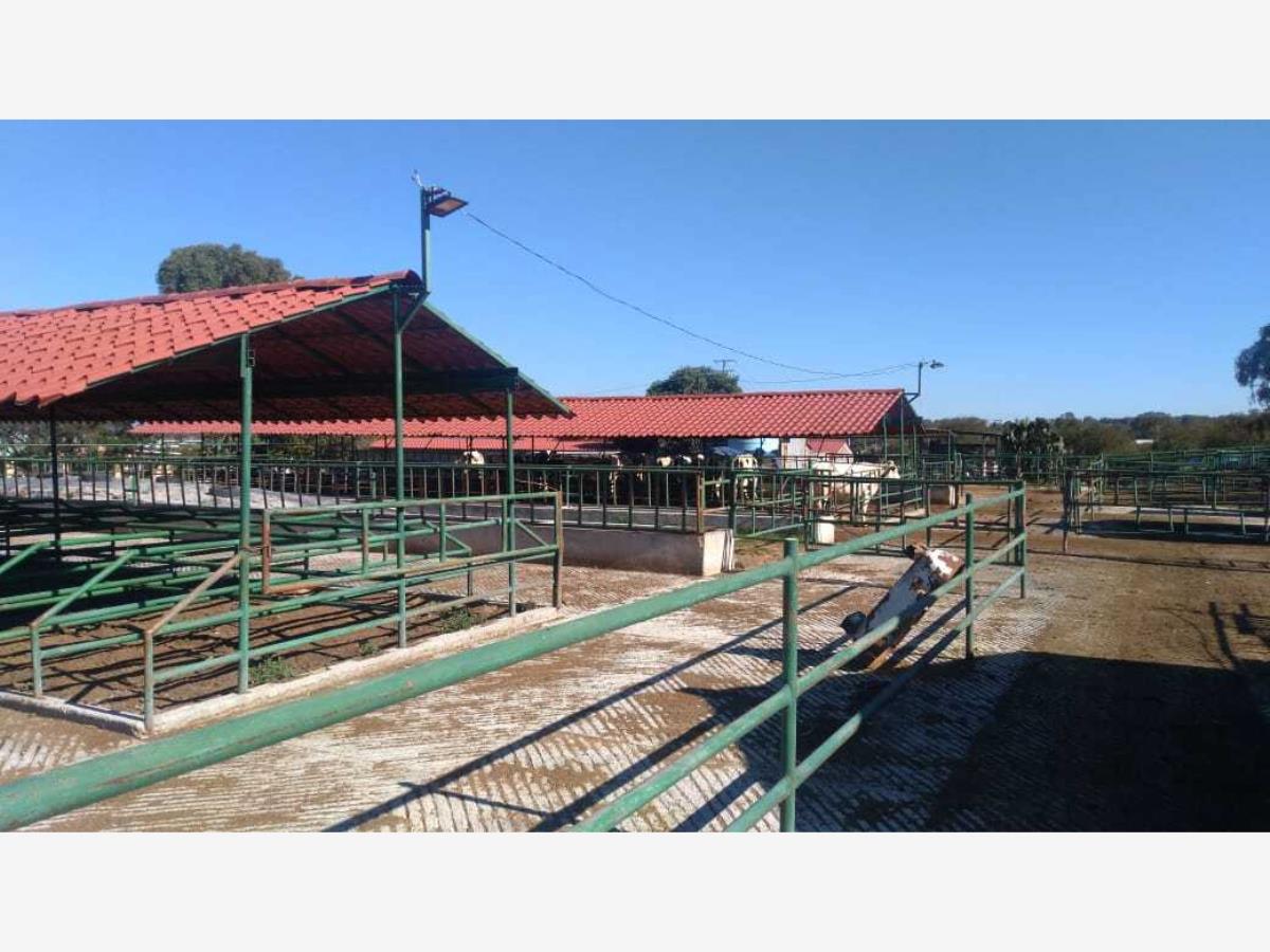 Finca-Rancho en venta en Ruano, Polotitlán — foto 1 de 13