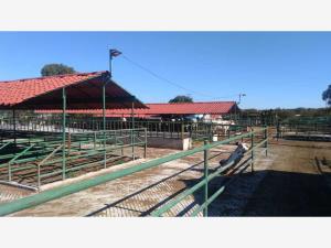 Finca-Rancho en venta en Ruano, Polotitlán, México