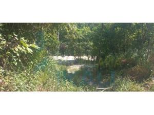 Terreno en venta en Guadalupe Victoria, Poza Rica de Hidalgo — foto 3 de 10