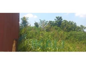 Terreno en venta en Circulo Michoacano, Poza Rica de Hidalgo — foto 3 de 11