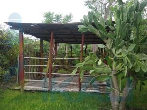 Casa en venta en Tancoco, Tancoco — foto 3 de 12