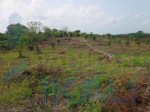 Terreno en venta en Altamira, Tuxpan — foto 3 de 11
