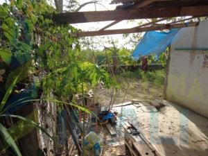 Terreno en venta en Santiago de la Peña, Tuxpan — foto 3 de 7