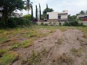 Terreno en venta en Chiconcuac, Xochitepec — foto 2 de 11