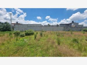 Terreno en venta en San Antonio Buenavista, Toluca — foto 3 de 3