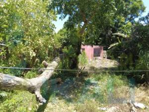 Terreno en venta en Santiago de la Peña, Tuxpan — foto 2 de 7