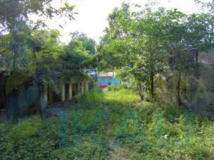 Terreno en venta en Mexicana Miguel Alemán, Tuxpan — foto 3 de 11